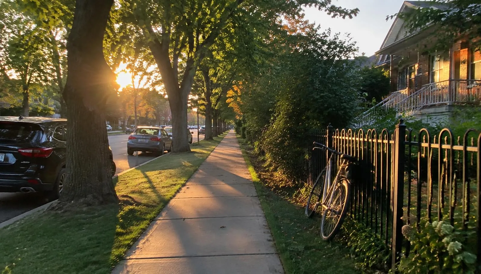 A quiet neighborhood sidewalk lined with trees glowing in golden evening sunlight